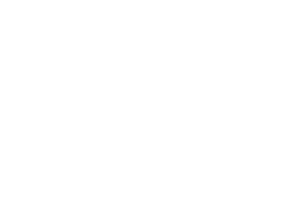 AFA Fillies